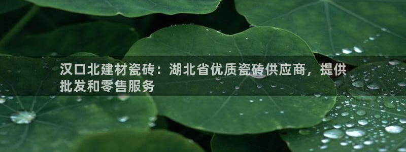 杏鑫平台代理怎么样赚钱