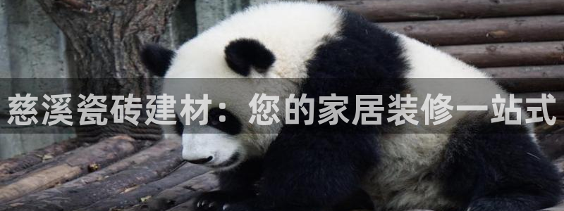 杏鑫平台登录地址查询