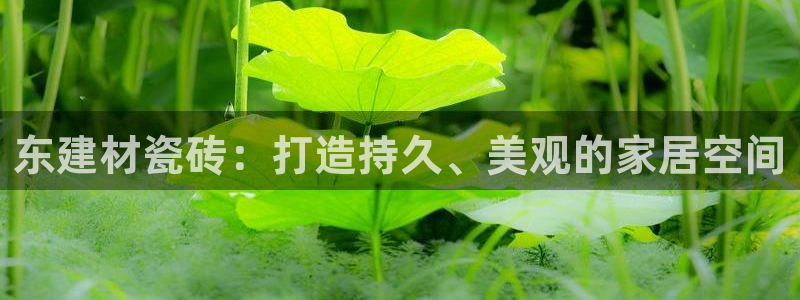 杏鑫平台正规吗可信吗