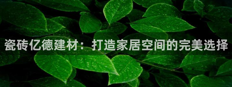杏鑫平台招商怎么样