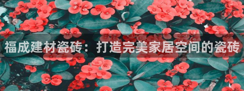 杏鑫平台招商电话是多少
