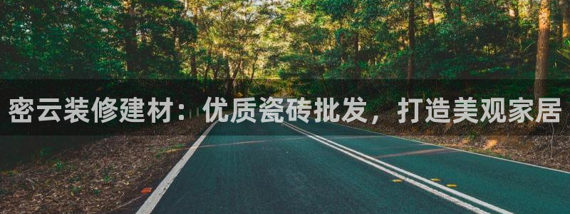 杏鑫招商总代