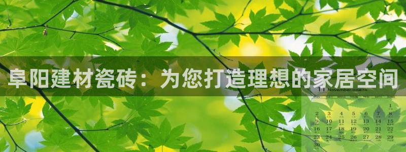 杏鑫平台怎么样知乎
