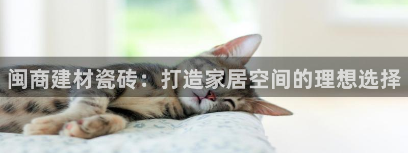 杏鑫平台念7O777