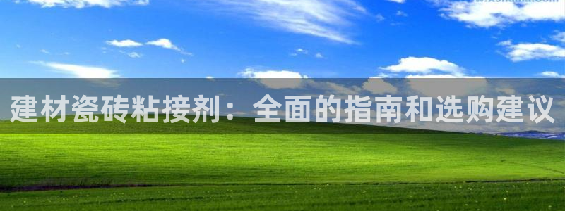 杏鑫平台登陆