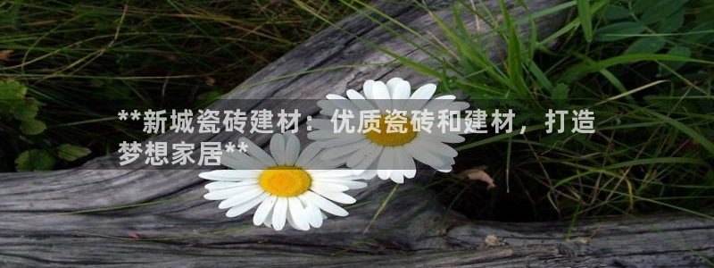 杏鑫娱乐官网