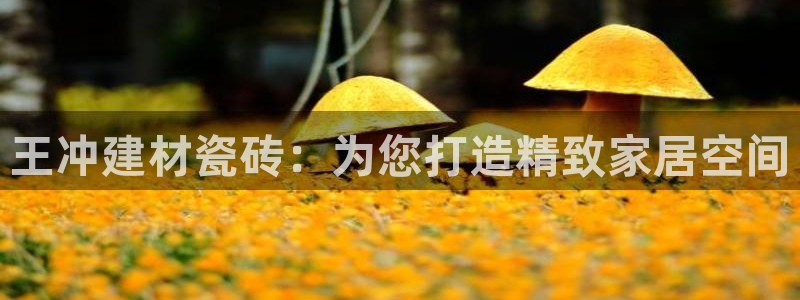 杏鑫注册登录网址是多少