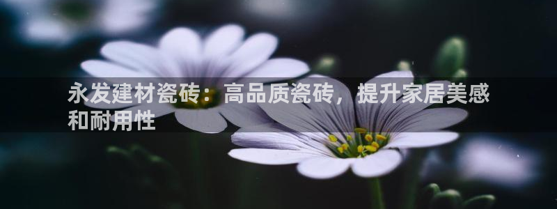 杏鑫娱乐平台登录