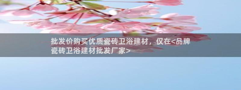 杏鑫招商总代
