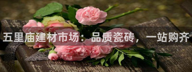 杏鑫娱乐官方网站客户端