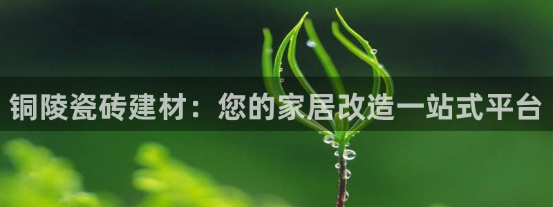 杏鑫平台号7O777