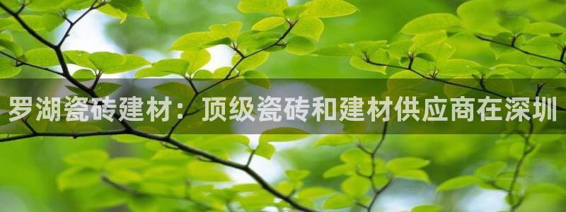 杏鑫官网注册账号是什么意思