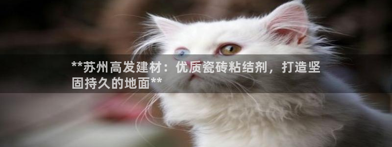 杏鑫平台招商电话号码