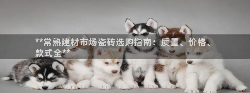 杏鑫注册登录代理