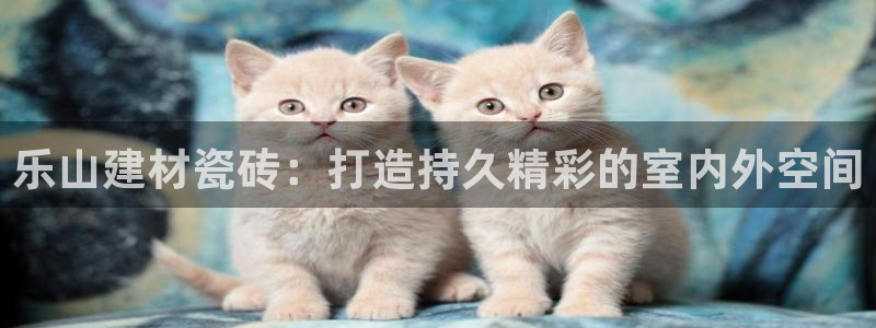 杏鑫娱乐靠谱吗
