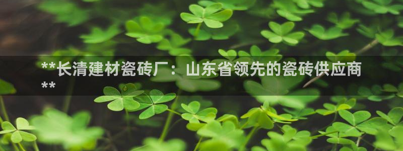 杏鑫平台登陆