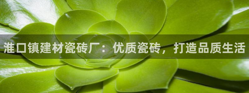 杏鑫娱乐官网