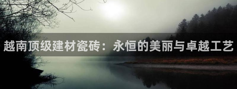 杏鑫官网最新信息新闻报道