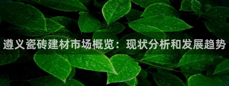 杏鑫3主管