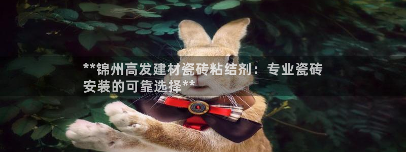 杏鑫平台代理怎么样啊