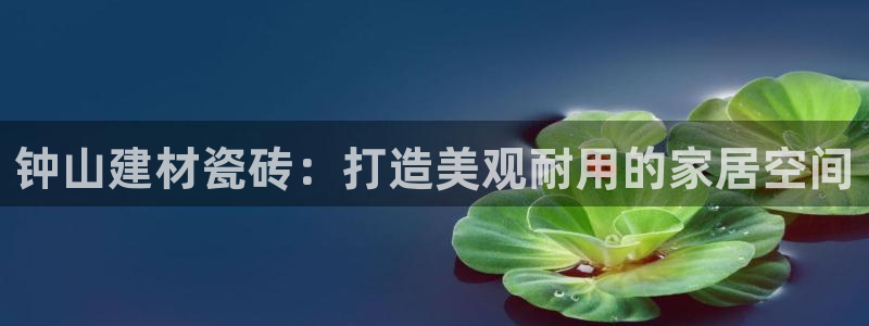 杏鑫手机客户端