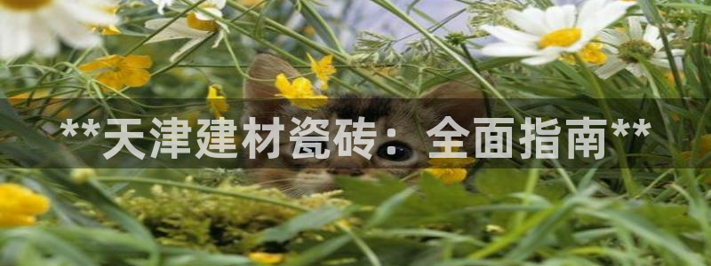 杏鑫官网注册账号密码是什么