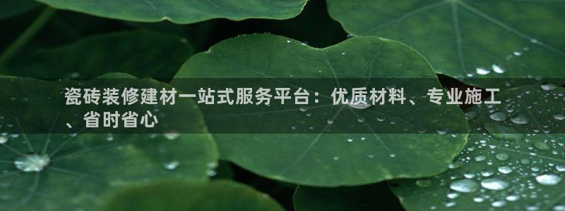 杏鑫平台注册地址是哪里