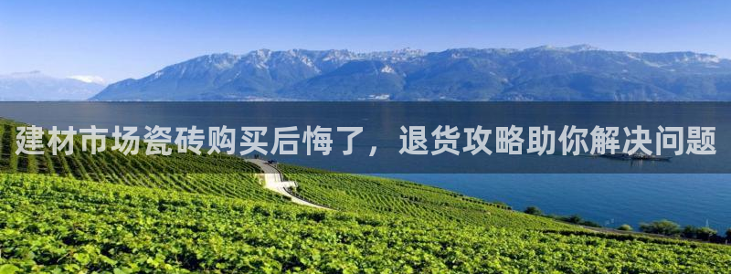 杏鑫平台注册地址是哪里