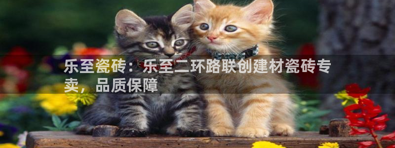 杏鑫娱乐是合法的吗?