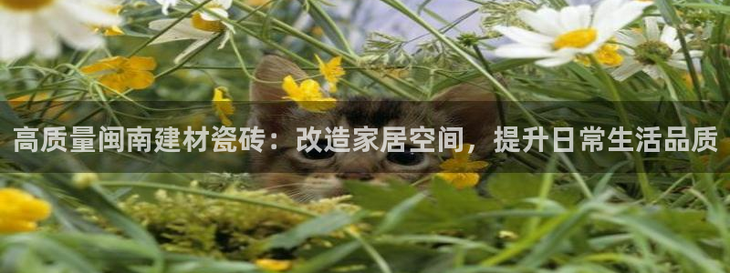 杏鑫平台广7O777