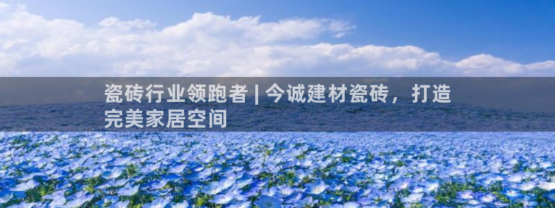 杏鑫官方平台怎么样啊