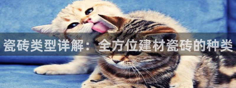杏鑫平台直属哪个公司