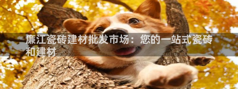 杏鑫官方平台怎么样啊知乎