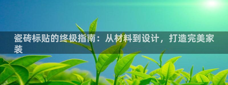杏鑫手机客户端