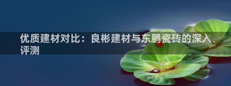 杏鑫平台招商怎么样啊