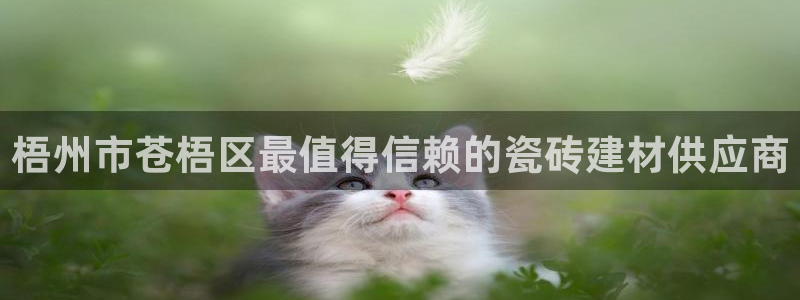 杏鑫平台平台娱乐
