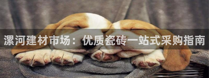 杏鑫娱乐怎么样