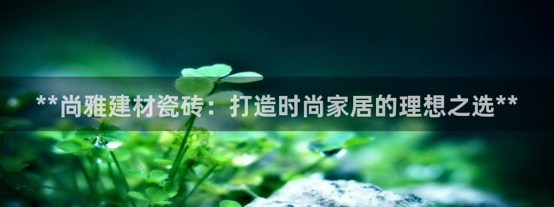 杏鑫平台代理怎么做赚钱