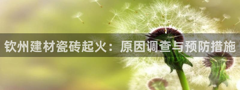 杏鑫平台招商电话号码是多少