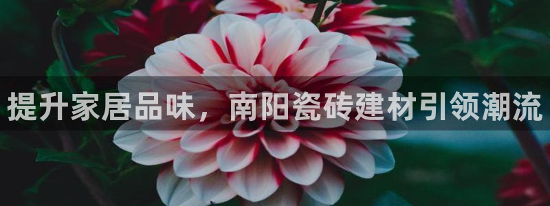 杏鑫平台代理注册登录不了怎么办呀苹果