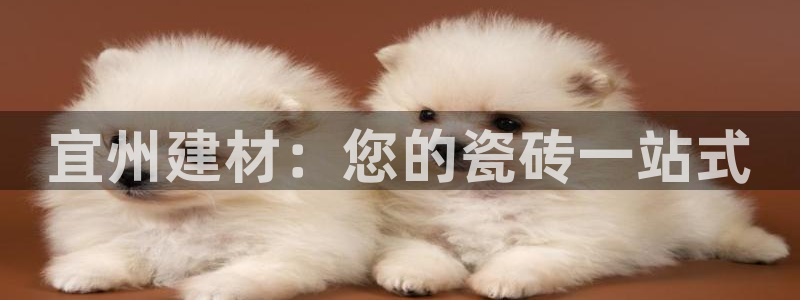 杏鑫娱乐是真的吗还是假的