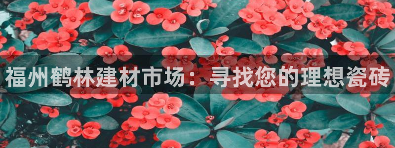 杏鑫官方平台怎么样啊安全吗