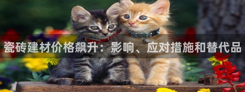 杏鑫平台招商怎么样