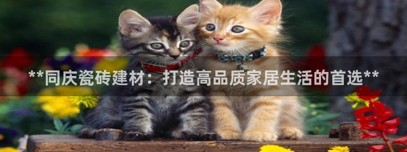 杏鑫官网注册账号怎么注册不了