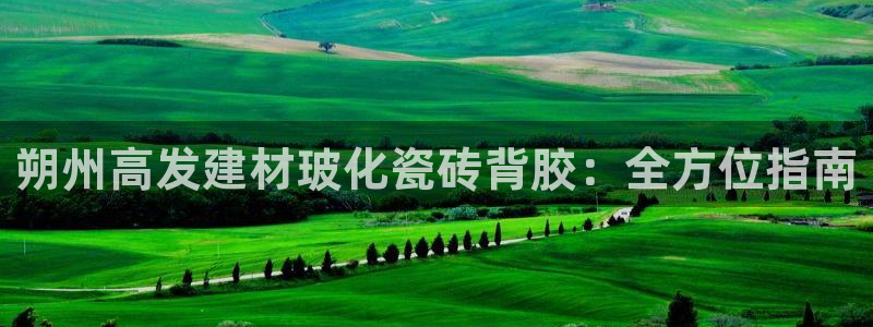 杏鑫平台平台