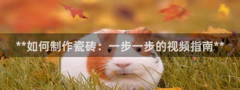 杏鑫手机客户端怎么下载