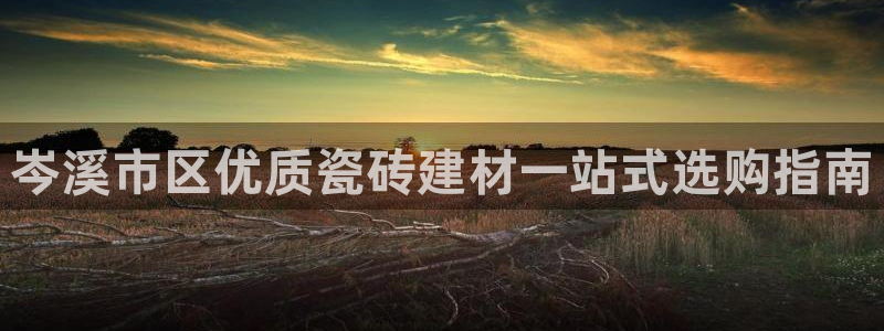 杏鑫手机客户端