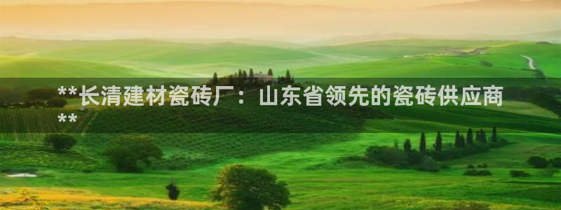 杏鑫平台代理注册流程