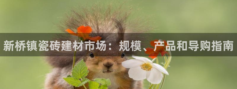 杏鑫平台怎么样黑钱吗