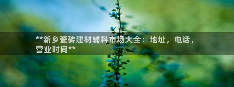 杏鑫平台直属